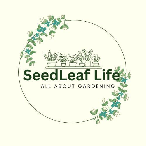 Seed Leaf life