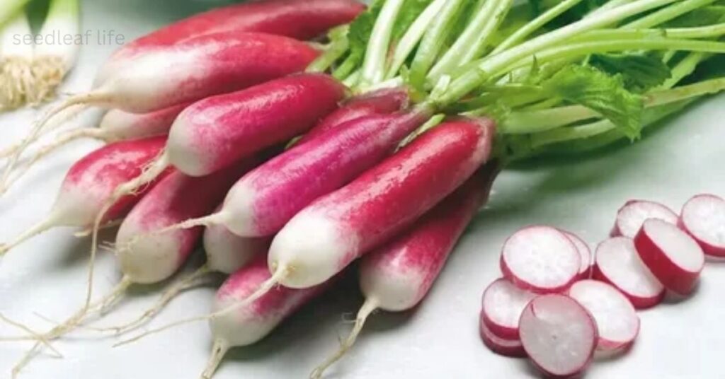 best vegetables to grow in September