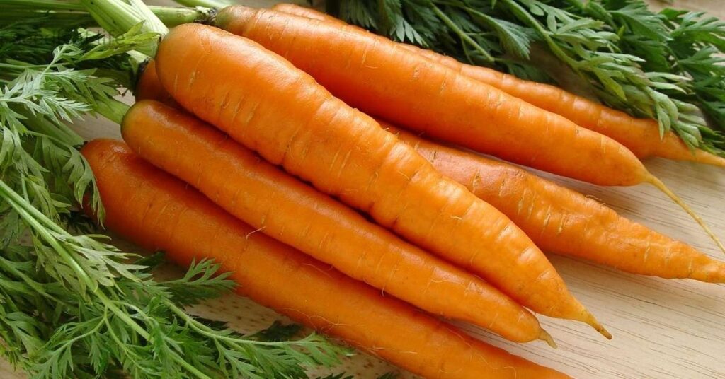 best vegetables to grow in September