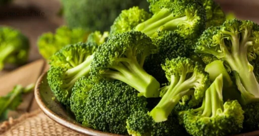 the best vegetables to grow in September