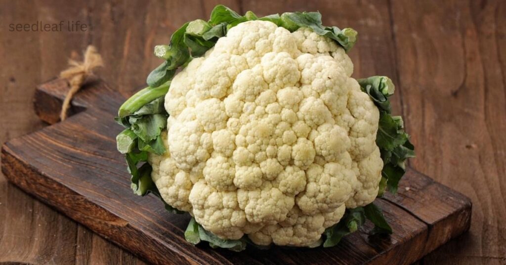 best vegetables to grow in September