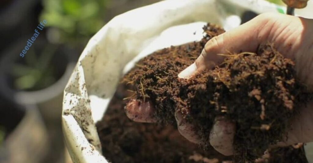 Compost or Organic Matter