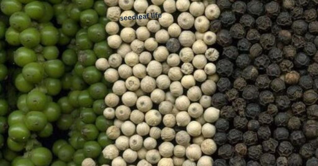 Types of Peppercorns