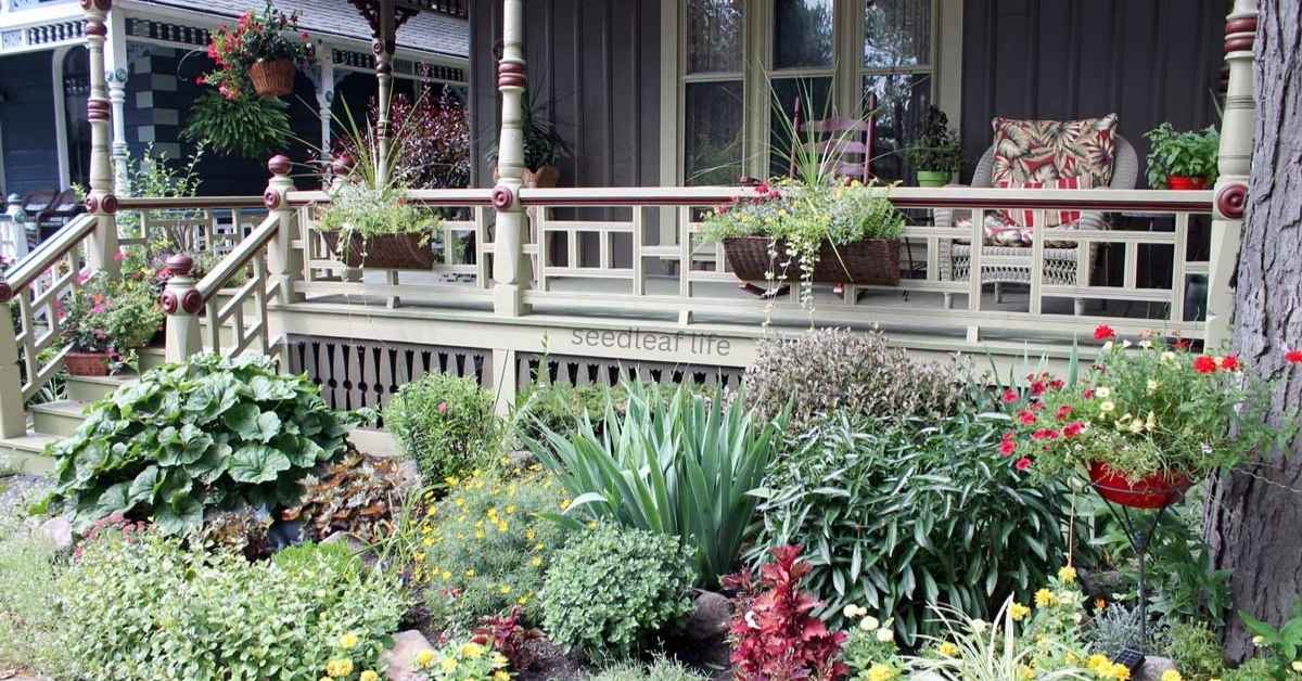 Low Maintenance Shrubs: The Ultimate Guide to Effortless and Beautiful Landscaping
