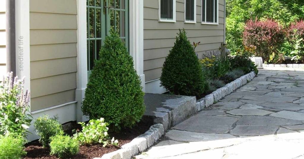 Landscaping Ideas Using Low Maintenance Shrubs