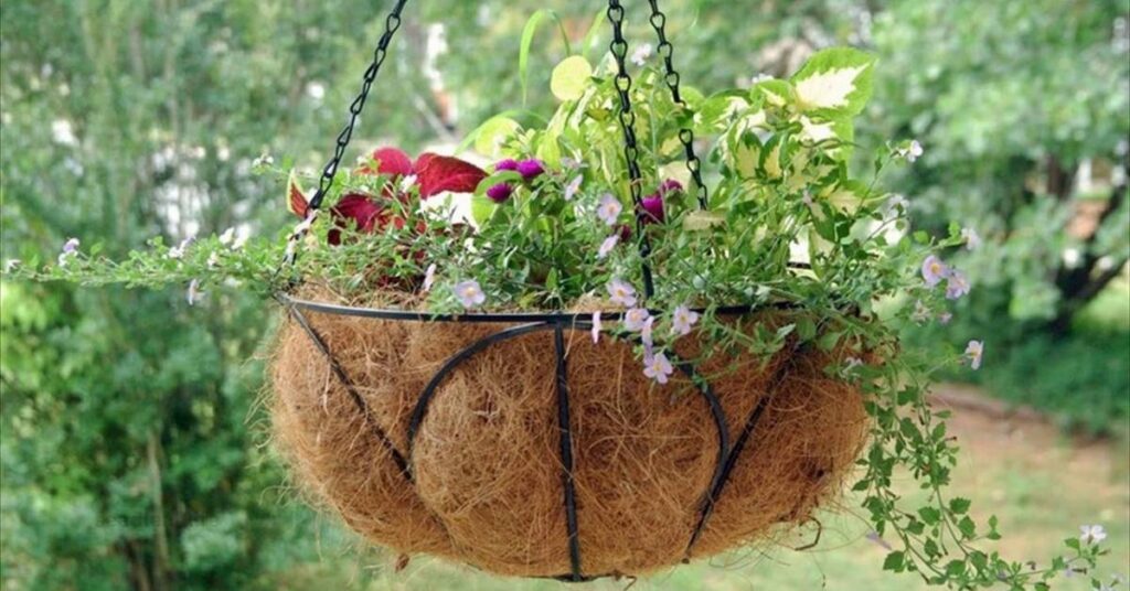 Basket Planting