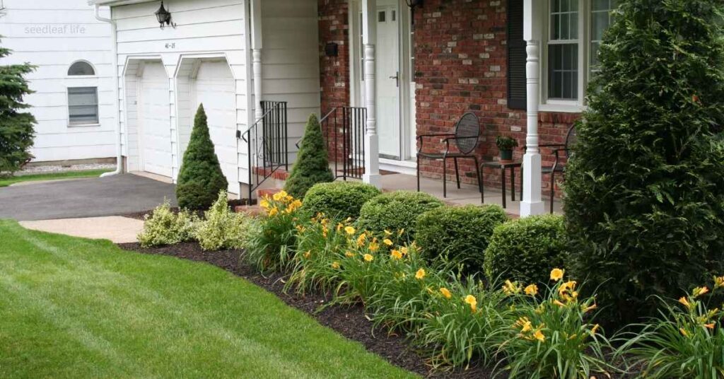 Using Shade Loving Shrubs in Landscape Design