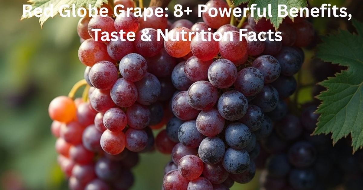Red Globe Grape: 8+ Powerful Benefits, Taste & Nutrition Facts