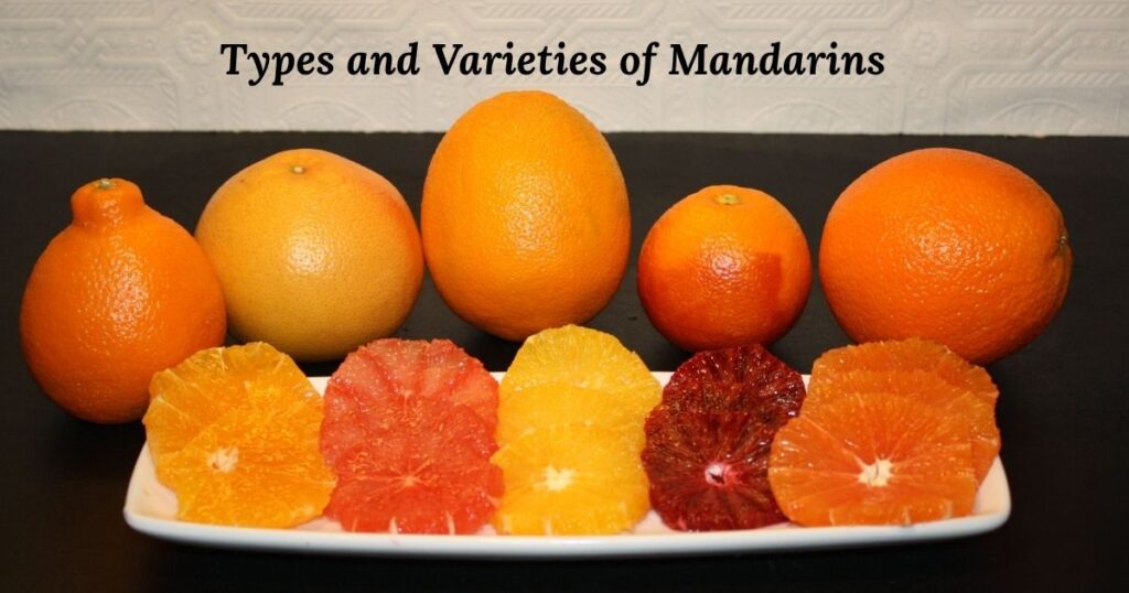 Types and Varieties of Mandarins